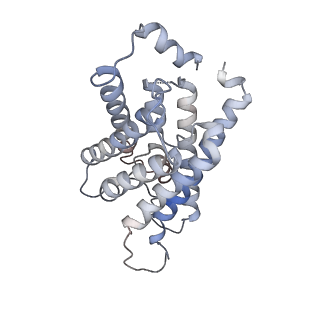 26978_8ct2_B_v1-1
Local refinement of AQP1 tetramer (C1; refinement mask included D1 of protein 4.2 and Ankyrin-1 AR1-5) in Class 2 of erythrocyte ankyrin-1 complex