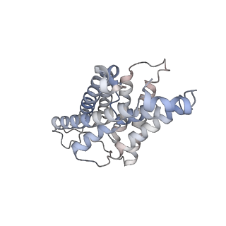 26978_8ct2_C_v1-1
Local refinement of AQP1 tetramer (C1; refinement mask included D1 of protein 4.2 and Ankyrin-1 AR1-5) in Class 2 of erythrocyte ankyrin-1 complex