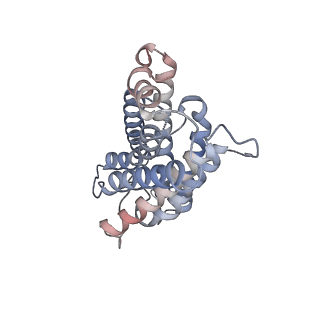 26978_8ct2_D_v1-1
Local refinement of AQP1 tetramer (C1; refinement mask included D1 of protein 4.2 and Ankyrin-1 AR1-5) in Class 2 of erythrocyte ankyrin-1 complex
