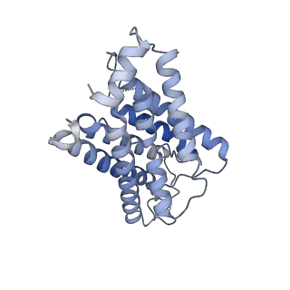26988_8cte_M_v1-1
Class 2 of erythrocyte ankyrin-1 complex (Composite map)