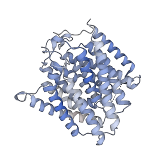 26988_8cte_Q_v1-1
Class 2 of erythrocyte ankyrin-1 complex (Composite map)