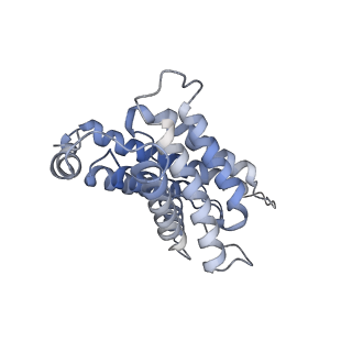 26988_8cte_R_v1-1
Class 2 of erythrocyte ankyrin-1 complex (Composite map)