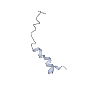 26988_8cte_W_v1-1
Class 2 of erythrocyte ankyrin-1 complex (Composite map)