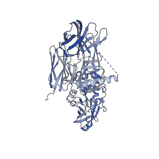 26988_8cte_X_v1-1
Class 2 of erythrocyte ankyrin-1 complex (Composite map)