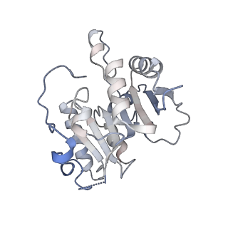 26990_8cth_A_v1-2
Cryo-EM structure of human METTL1-WDR4-tRNA(Phe) complex
