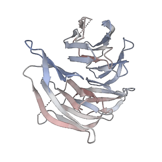 26990_8cth_B_v1-2
Cryo-EM structure of human METTL1-WDR4-tRNA(Phe) complex