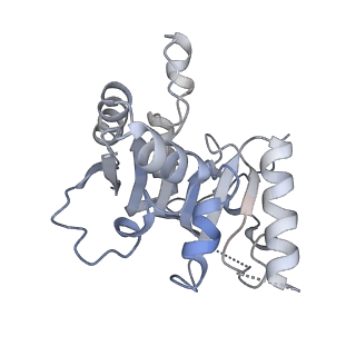26991_8cti_A_v1-2
Cryo-EM structure of human METTL1-WDR4-tRNA(Val) complex