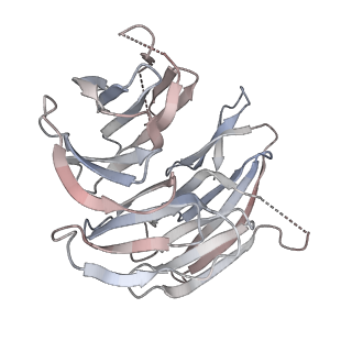 26991_8cti_B_v1-2
Cryo-EM structure of human METTL1-WDR4-tRNA(Val) complex