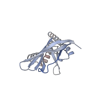 26993_8ctk_A_v1-1
Cryo-EM structure of SARS-CoV-2 M protein in a lipid nanodisc