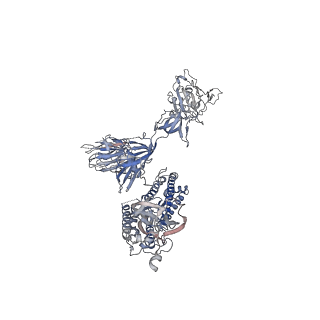 30460_7ct5_A_v1-2
S protein of SARS-CoV-2 in complex bound with T-ACE2