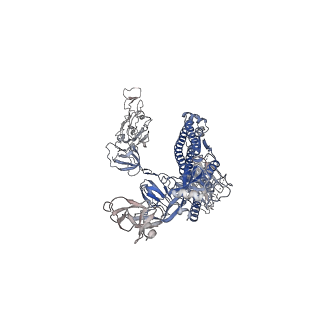 30460_7ct5_C_v1-2
S protein of SARS-CoV-2 in complex bound with T-ACE2