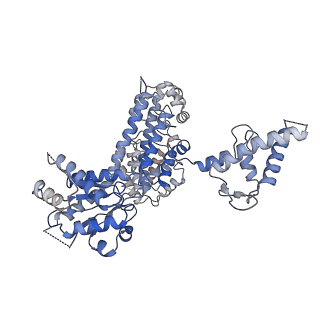 30462_7cte_C_v1-1
Human Origin Recognition Complex, ORC2-5