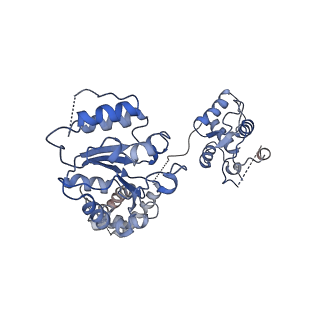 30462_7cte_E_v1-1
Human Origin Recognition Complex, ORC2-5