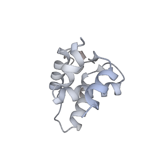 30463_7ctf_A_v1-1
Human origin recognition complex 1-5 State II