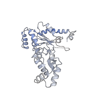 30463_7ctf_B_v1-1
Human origin recognition complex 1-5 State II