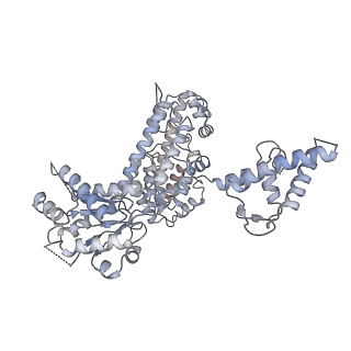 30463_7ctf_C_v1-1
Human origin recognition complex 1-5 State II