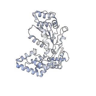 30463_7ctf_D_v1-1
Human origin recognition complex 1-5 State II