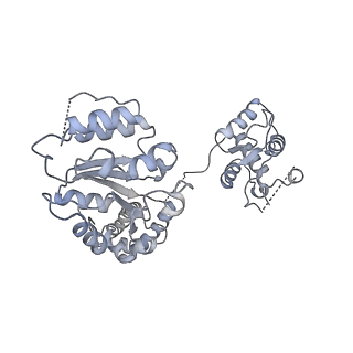 30463_7ctf_E_v1-1
Human origin recognition complex 1-5 State II