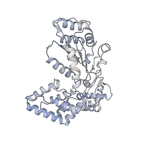 30464_7ctg_D_v1-1
Human Origin Recognition Complex, ORC1-5 State I