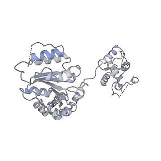 30464_7ctg_E_v1-1
Human Origin Recognition Complex, ORC1-5 State I