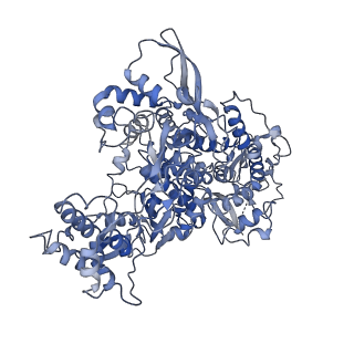 30469_7ctt_A_v1-0
Cryo-EM structure of Favipiravir bound to replicating polymerase complex of SARS-CoV-2 in the pre-catalytic state.