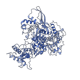 30469_7ctt_A_v2-2
Cryo-EM structure of Favipiravir bound to replicating polymerase complex of SARS-CoV-2 in the pre-catalytic state.