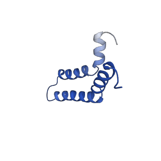 26999_8cue_1A_v1-1
CryoEM structure of the T-pilus from Agrobacterium tumefaciens
