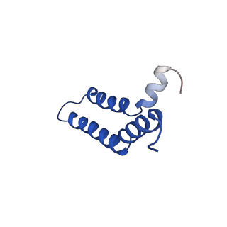 26999_8cue_2I_v1-1
CryoEM structure of the T-pilus from Agrobacterium tumefaciens