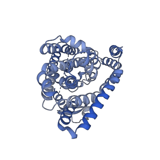 27000_8cui_B_v1-1
Human excitatory amino acid transporter 3 (EAAT3) in an intermediate outward facing apo state