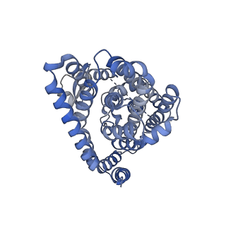 27000_8cui_C_v1-1
Human excitatory amino acid transporter 3 (EAAT3) in an intermediate outward facing apo state