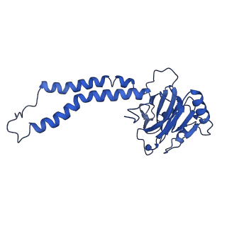 30471_7cub_B_v1-1
2.55-Angstrom Cryo-EM structure of Cytochrome bo3 from Escherichia coli in Native Membrane
