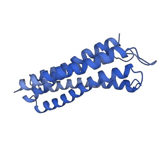 30471_7cub_C_v1-1
2.55-Angstrom Cryo-EM structure of Cytochrome bo3 from Escherichia coli in Native Membrane