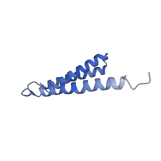 30471_7cub_D_v1-1
2.55-Angstrom Cryo-EM structure of Cytochrome bo3 from Escherichia coli in Native Membrane