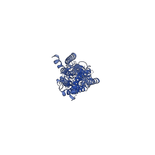 30472_7cum_B_v1-0
Cryo-EM structure of human GABA(B) receptor bound to the antagonist CGP54626