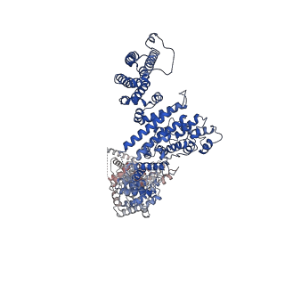 30473_7cun_B_v1-1
The structure of human Integrator-PP2A complex