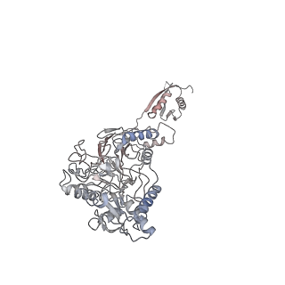 30473_7cun_K_v1-1
The structure of human Integrator-PP2A complex