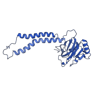 30475_7cuw_B_v1-1
Ubiquinol Binding Site of Cytochrome bo3 from Escherichia coli