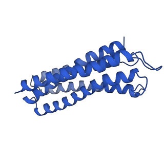 30475_7cuw_C_v1-1
Ubiquinol Binding Site of Cytochrome bo3 from Escherichia coli