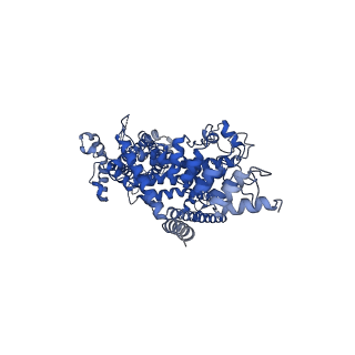 7620_6cud_A_v1-3
Structure of the human TRPC3 in a lipid-occupied, closed state