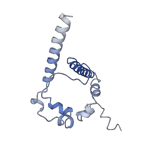 7621_6cue_D_v1-3
Cryo-EM structure at 4.0 A resolution of vaccine-elicited antibody vFP7.04 in complex with HIV-1 Env BG505 DS-SOSIP, and antibodies VRC03 and PGT122