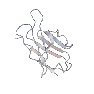 7621_6cue_L_v2-0
Cryo-EM structure at 4.0 A resolution of vaccine-elicited antibody vFP7.04 in complex with HIV-1 Env BG505 DS-SOSIP, and antibodies VRC03 and PGT122