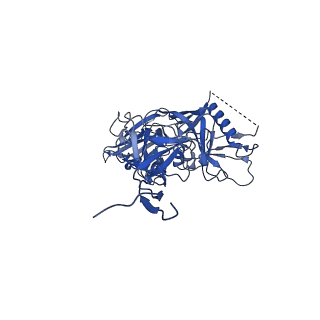 7621_6cue_c_v1-3
Cryo-EM structure at 4.0 A resolution of vaccine-elicited antibody vFP7.04 in complex with HIV-1 Env BG505 DS-SOSIP, and antibodies VRC03 and PGT122