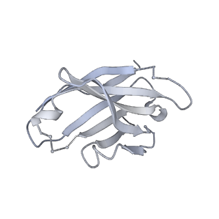 7622_6cuf_H_v2-0
Cryo-EM structure at 4.2 A resolution of vaccine-elicited antibody vFP1.01 in complex with HIV-1 Env BG505 DS-SOSIP, and antibodies VRC03 and PGT122