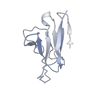 7622_6cuf_N_v1-1
Cryo-EM structure at 4.2 A resolution of vaccine-elicited antibody vFP1.01 in complex with HIV-1 Env BG505 DS-SOSIP, and antibodies VRC03 and PGT122