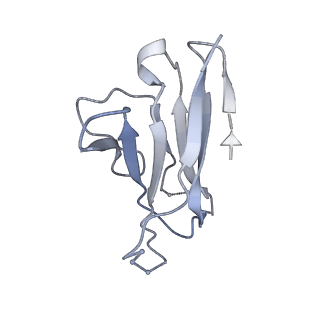 7622_6cuf_N_v2-0
Cryo-EM structure at 4.2 A resolution of vaccine-elicited antibody vFP1.01 in complex with HIV-1 Env BG505 DS-SOSIP, and antibodies VRC03 and PGT122