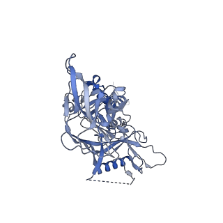 7622_6cuf_d_v1-1
Cryo-EM structure at 4.2 A resolution of vaccine-elicited antibody vFP1.01 in complex with HIV-1 Env BG505 DS-SOSIP, and antibodies VRC03 and PGT122