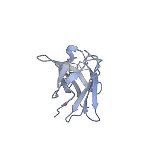 7622_6cuf_m_v1-1
Cryo-EM structure at 4.2 A resolution of vaccine-elicited antibody vFP1.01 in complex with HIV-1 Env BG505 DS-SOSIP, and antibodies VRC03 and PGT122