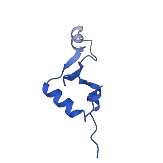 27009_8cvm_2_v1-1
Cutibacterium acnes 50S ribosomal subunit with P-site tRNA and Sarecycline bound in the local refined map