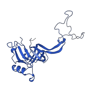 27009_8cvm_d_v1-1
Cutibacterium acnes 50S ribosomal subunit with P-site tRNA and Sarecycline bound in the local refined map