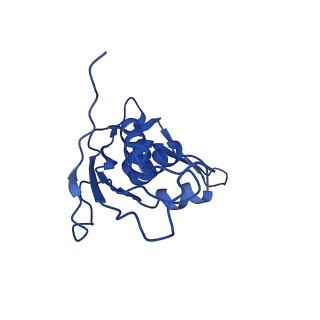27009_8cvm_i_v1-1
Cutibacterium acnes 50S ribosomal subunit with P-site tRNA and Sarecycline bound in the local refined map